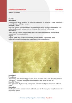 Paint Defect Inspection Guidelines | PDF | Paint | Rust