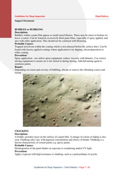 Paint Defect Inspection Guidelines | PDF | Paint | Rust