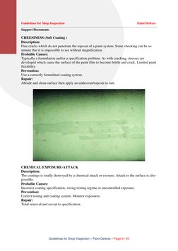 Paint Defect Inspection Guidelines | PDF | Paint | Rust