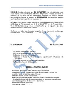 Sistema Normativo de Información Laboral 
__________________________________________________________________________