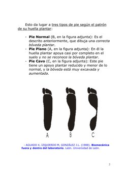 2
 
Esto da lugar a tres tipos de pie según el patrón 
de su huella plantar: 
 
- Pie Normal (B, en la figura adjunta): Es