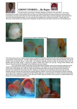The Ghost discus was breed in Penang, Malaysia sometime in the early 90’s. I still vividly 
remember the couple of trips Andr