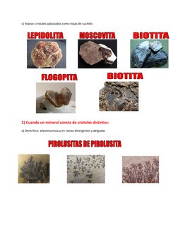 c) hojoso: cristales aplastados como hojas de cuchillo 
 
 
 
 
 
 
 
 
 
 
 
2) Cuando un mineral consta de cristales distin
