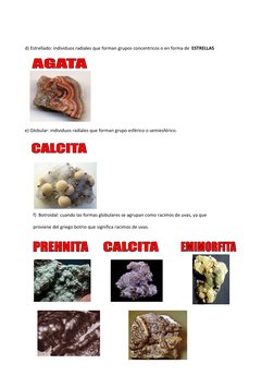 d) Estrellado: individuos radiales que forman grupos concentricos o en forma de  ESTRELLAS 
 
 
 
 
 
 
e) Globular: indivi