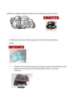 g) Reniforme: individuos radiales terminados en masas redondas que parecen un riñón. 
 
 
 
 
 
 
  
h)  Mamilar: grandes m