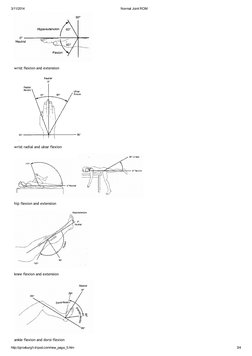 Normal Joint Ranges Chart Normal Joint Range of Motion Chart | PDF | Anatomical Terms Of Motion ...