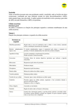 Instituto de Educação Aberta e à Distância 
 
7 
Nucleóide 
Todas as bactérias possuem uma zona geralmente central, o nuc