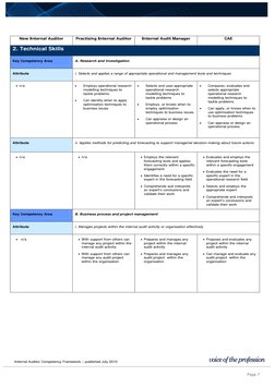 Internal Auditor Competency Framework – published July 2010 
 
 
 
 
Page 7  
 
New Internal Auditor 
Practising Internal A
