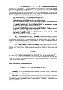 7.- LA TESTIMONIAL, a cargo de la  C. AGUSTINA GARCIA DAMIAN
persona que me comprometo a presentar el día