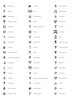 Cabeza enorme 
 
Jorobado 
 
Mirada hipnótica 
 
Ilusión de normalidad 
 
Invisibilidad 
 
Piel de hierro 
 
Miedo irracion