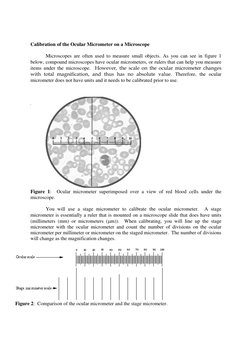 Ocular Micrometer Calibration Guide | PDF | Human Eye | Telescopic Sight