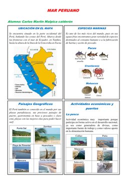 MAR PERUANO 
 
Alumno: Carlos Martin Malpica calderón  
UBICACIÓN EN EL MAPA 
Se encuentra situado en la parte occidental del