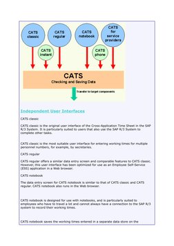 Independent User Interfaces
CATS classic
CATS classic is the original user interface of the Cross-Application Time Sheet in t