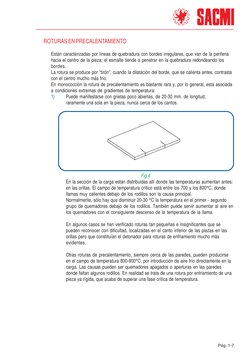 Pág. 1-7
ROTURAS EN PRECALENTAMIENTO
Están caracterizadas por líneas de quebradura con bordes irregulares, que van de la pe