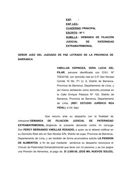 EXP.
:
ESP. LEG.:
CUADERNO: PRINCIPAL
ESCRITO : Nº 1
SUMILLA :  DEMANDA  DE  FILIACIÓN
JUDICIAL
 
DE
 
PATERNIDAD
EXTRAMATRIM