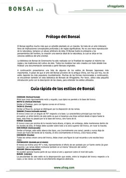B O N S A I   v. 2.0 
xfrogplants 
 
El Bonsai significa mucho más que un arbolillo plantado en un maceta. Se trata de un art