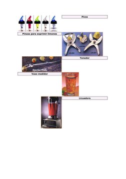 Picos
Pinzas para exprimir limones
Tenedor
Vaso medidor
Licuadora
