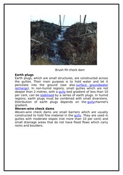 Brush fill check dam
Earth plugs
Earth plugs, which are small s