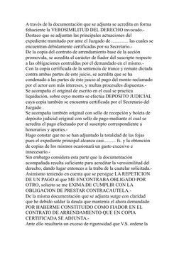 A través de la documentación que se adjunta se acredita en forma 
fehaciente la VEROSIMILITUD DEL DERECHO invocado.- 
Destaco