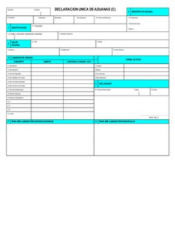 Formato DAM para Declaración Aduanera | PDF | aduana | Envío