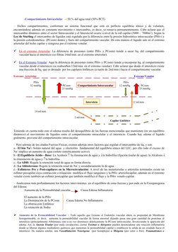 -Compartimiento Intracelular  → 50 % del agua total (50% PCT)
○ Dichos  compartimientos,  conforman  un  sistema  funcional