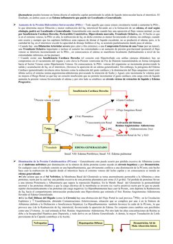 Quemaduras pueden lesionar en forma directa el endotelio capilar permitiendo la salida de liquido intravascular hacia el inte