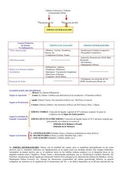 Túbulos Colectores y Túbulos