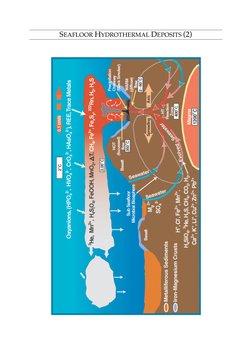 SEAFLOOR HYDROTHERMAL DEPOSITS (2)