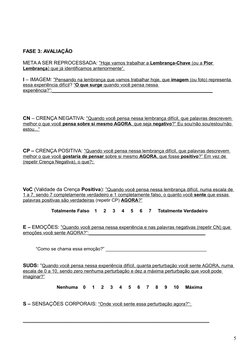 FASE 3: AVALIAÇÃO  
META A SER REPROCESSADA: “  Hoje vamos trabalhar a 
 
 Lembrança-Chave
 
  (ou a 
 
 Pior 
Lembrança
 
 )