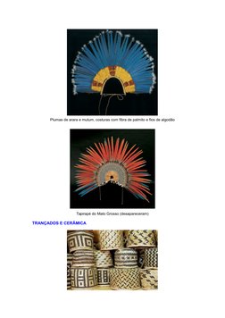 Plumas de arara e mutum, costuras com fibra de palmito e fios de algodão
Tapirapé do Mato Grosso (desapareceram)
TRANÇADOS E