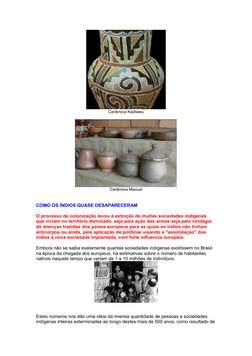 Cerâmica Kadiweu
Cerâmica Macuxi
COMO OS ÍNDIOS QUASE DESAPARECERAM
O processo de colonização levou à extinção de muitas soci