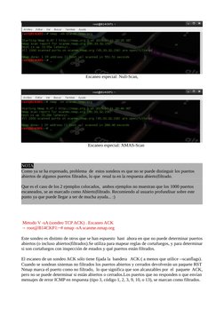 Escaneo especial: Null-Scan,