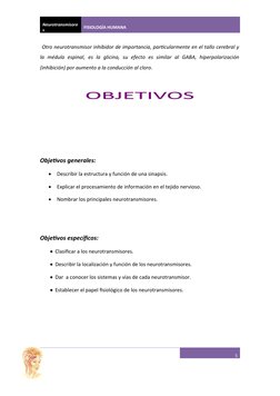Neurotransmisore
s
FISIOLOGÍA HUMANA
 Otro neurotransmisor inhibidor de importancia, particularmente en el tallo cerebral y
l