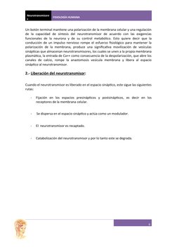 Neurotransmisore
s
FISIOLOGÍA HUMANA
Un botón terminal mantiene una polarización de la membrana celular y una regulación
de