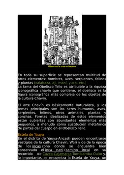 Observen la cruz o chacana
En toda su superficie se  representan multitud  de
otros elementos: hombres, aves, serpientes, fel