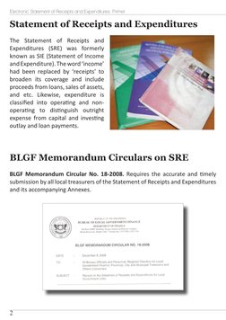 Esre Example eSRE Primer for Local Government Units | PDF | Expense | Revenue