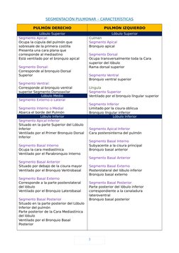 3
SEGMENTACIÓN PULMONAR – CARACTERÍSTICAS
PULMÓN DERECHO
PULMÓN IZQUIERDO
Lóbulo Superior
Lóbulo Superior
Segmento Apical:
Oc