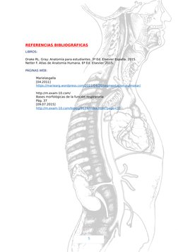 5
REFERENCIAS BIBLIOGRÁFICAS
LIBROS: 
Drake RL. Gray: Anatomía para estudiantes. 3ª Ed. Elsevier España. 2015.
Netter F. Atla