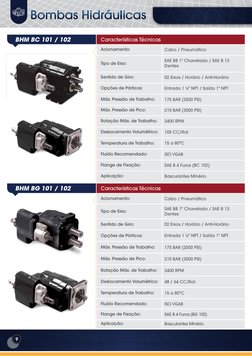 9
BHM BC 101 / 102
Características Técnicas
Acionamento:
Tipo de Eixo:
Sentido de Giro:
Opções de Pórticos:
Máx. Pressão de T