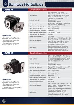 7
BHM B 31
Características Técnicas
OBSERVAÇÕES
- Opções de Montagem de 
Motores e Divisores de Fluxo
- Opções de Montagem de