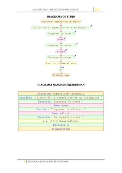ALGORITMOS – EJERCICIOS PROPUESTOS 
2016 
 
5 PROGRAMACIÓN PARA INGENIEROS 
 
DIAGRAMA DE FLUJO 
 
DIAGRAMA NASSI SCHENEIDERM