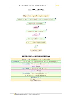 ALGORITMOS – EJERCICIOS PROPUESTOS 
2016 
 
8 PROGRAMACIÓN PARA INGENIEROS 
 
DIAGRAMA DE FLUJO 
 
 
DIAGRAMA NASSI SCHENEIDE