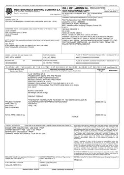 MSC Bill of Lading Example | PDF | Bill Of Lading | Cargo