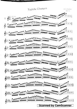 Flute Studies.pdf Flute Studies | PDF