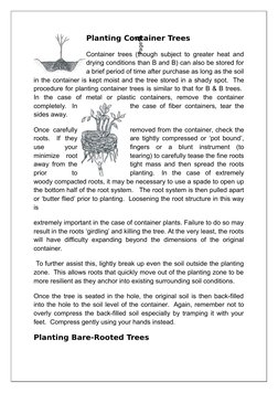 Planting A Tree Sop Example.pdf Tree Plantation: Process and Guidelines | PDF