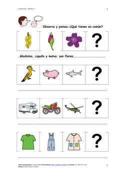Categorías- Adultos 1 
Observa y piensa: ¿Qué tienen en común?  
…Gladiolos, capullo y malva: son flores…………………………………………
…………
