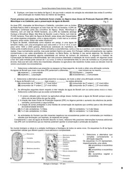 (http://fotos.sapo.pt/luis_pereira/pic/0007sgb4/)Escola Secundária Poeta António Aleixo – 2007/2008
5. Explique, com base no