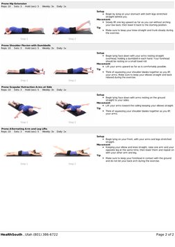 Quadruped Exercise Guide for Rehabilitation | PDF | Anatomical Terms Of ...