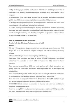 Advanced Microprocessor                                                                                        RISC Architect