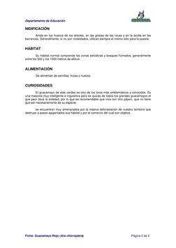 Departamento de Educación 
 
 
 
Ficha: Guacamayo Rojo (Ara chloroptera)